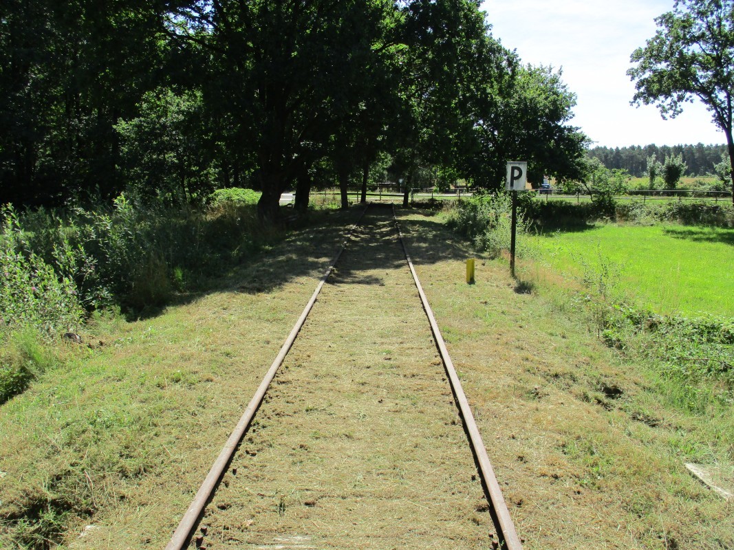 ZWNEGI17